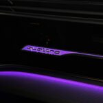 IMG_8239