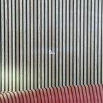 IMG_8343