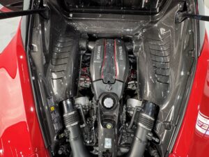 IMG_8973
