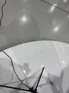 IMG_9829